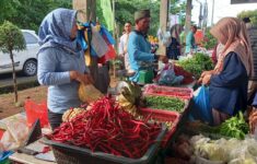 20250531 074810 scaled