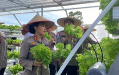 IMG 20250707 WA0050 scaled