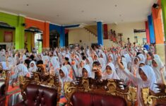 IMG 20250707 WA03071