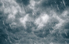 istockphoto 503284599 612x612 1