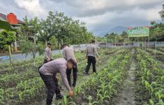 IMG 20250802 WA0059 scaled