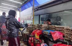 IMG 20250815 WA0045