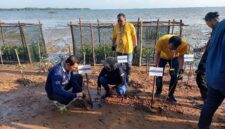 DLH Tanjungpinang, PT Linknet dan Pertamina Foundation menanam pohon mangrove di Dompak, Rabu (24/9/2025) foto: Indrapriyadi 