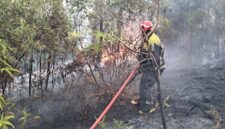 Petugas Damkar Tanjungpinang berjibaku padamkan lahan terbakar, Senin (29/9/2025) foto: istimewa 