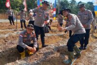 Penanaman jagung oleh Polsek Tanjungpinang Kota di Tanjung Sebauk Darat, Jumat (31/10/2025) foto: Indrapriyadi