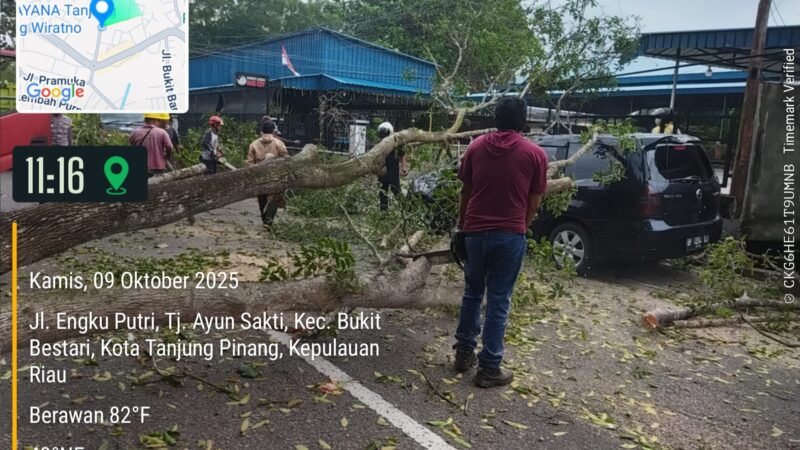 Satu unit Mobil tertimpa pohon tumbang dan mengalami kerusakan, Kamis (9/10/2025) foto: BPBD Tanjungpinang 