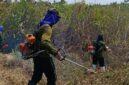 Lapas dan Lapas Terbuka Kendal libatkan WBP garap lahan ketahanan pangan, Jumat (10/10/2025) foto: Ragil 