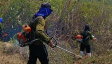 Lapas dan Lapas Terbuka Kendal libatkan WBP garap lahan ketahanan pangan, Jumat (10/10/2025) foto: Ragil 