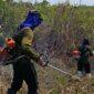 Lapas dan Lapas Terbuka Kendal libatkan WBP garap lahan ketahanan pangan, Jumat (10/10/2025) foto: Ragil 
