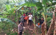 20251103 122536 scaled