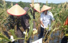 20260121 093018 scaled