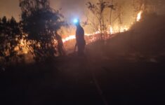 IMG 20260112 WA01791