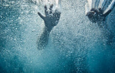 istockphoto 171577202 612x612 1