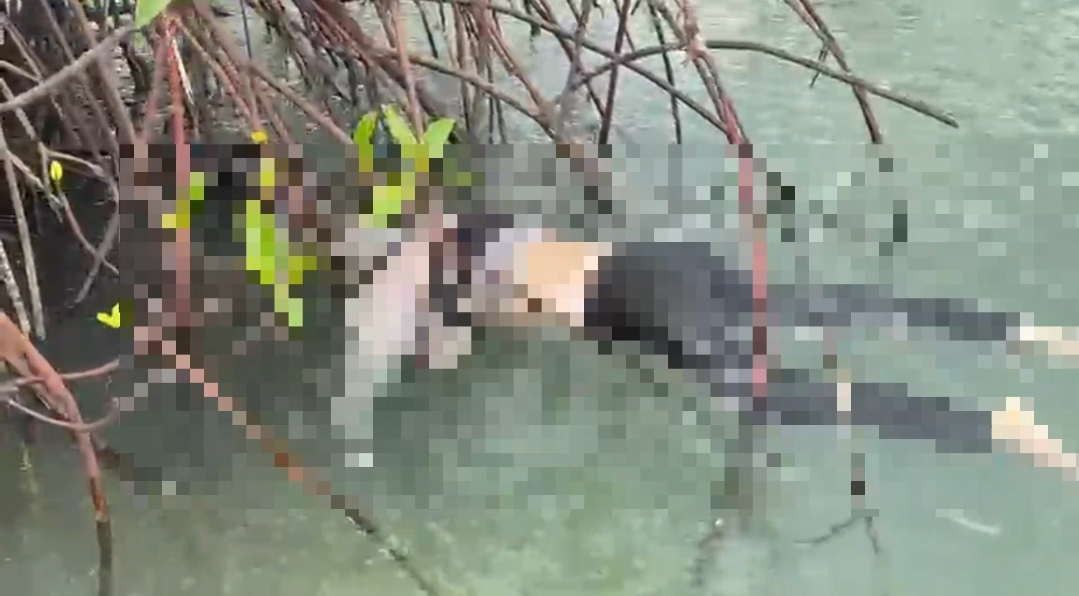 SmartSelect 20260221 173754 WhatsAppBusiness