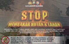 IMG 20260325 WA0056