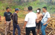 IMG 20260424 WA01091