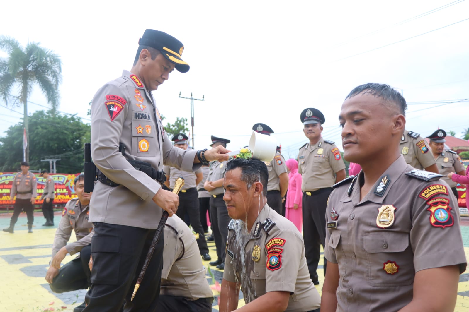 IMG 20260630 WA0117