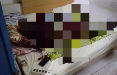 IMG 20260818 WA0037