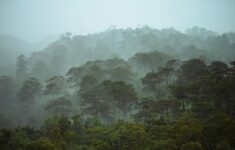 Menjelajahi Lembah Biosfer Menoreh, Destinasi Ekowisata Regeneratif Terbaru di Yogyakarta