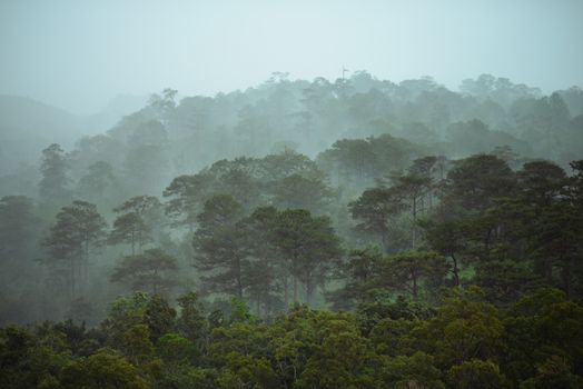 Menjelajahi Lembah Biosfer Menoreh, Destinasi Ekowisata Regeneratif Terbaru di Yogyakarta