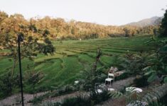 Menyesap Sunyi di Lembah Harau: Cara Baru Menikmati Kemegahan Tebing Granit Sumatera Barat