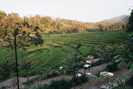 Menyesap Sunyi di Lembah Harau: Cara Baru Menikmati Kemegahan Tebing Granit Sumatera Barat
