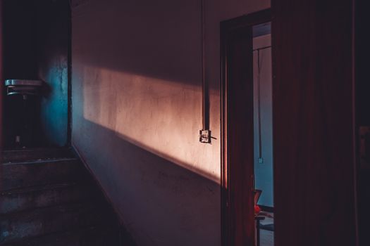 Misteri Deja Vu Komunal dan Mengapa Kita Sering Merasa Pernah Mengunjungi Tempat Baru