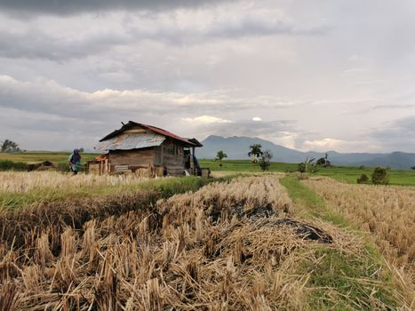 Menyepi di Lembah Harau: Menemukan Kembalinya Ritme Hidup Tenang di Balik Tebing Sumatera Barat