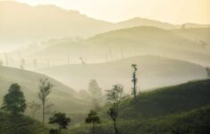 Menyepi di Desa Wisata: Cara Masyarakat Urban Jawa Menyembuhkan Kelelahan Mental Tanpa Gadget