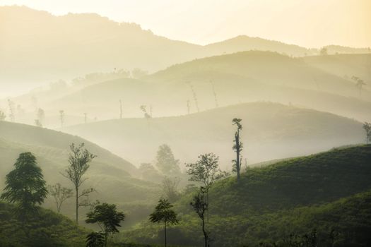 Menyepi di Desa Wisata: Cara Masyarakat Urban Jawa Menyembuhkan Kelelahan Mental Tanpa Gadget