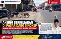 IMG 20260920 WA0017
