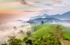 Menjelajahi Ketenangan Perbukitan Menoreh Kulon Progo melalui Tren Slow Travel yang Menyembuhkan Jiwa