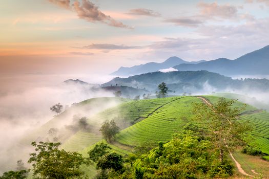 Menjelajahi Ketenangan Perbukitan Menoreh Kulon Progo melalui Tren Slow Travel yang Menyembuhkan Jiwa