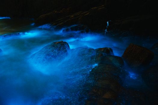 Menjelajahi Misteri Alam Nusantara dari Pendaran Lautan hingga Danau Tiga Warna Kelimutu