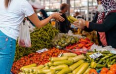 Menjelajahi Strategi Belanja Cerdas Dapur Rumah Tangga Saat Harga Pangan Lokal Melonjak Unik