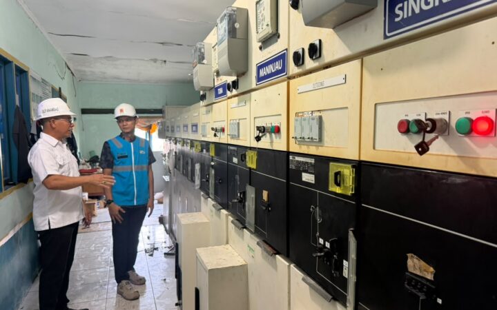 Atasi Krisis Listrik Anambas Bupati Aneng Tinjau Langsung Kedatangan Mesin PLTD di Tanjung Momong