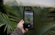 Inovasi Petani Muda Lembang Memanen Omzet Ratusan Juta Lewat Pertanian Cerdas Berbasis Internet