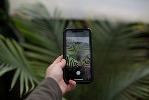 Inovasi Petani Muda Lembang Memanen Omzet Ratusan Juta Lewat Pertanian Cerdas Berbasis Internet