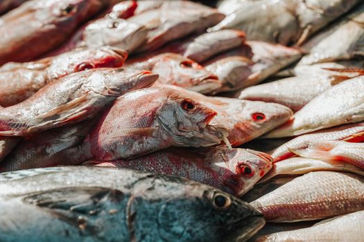 Menemukan Kembali Keajaiban Nutrisi Superfood Lokal dalam Piring Makan Sehari-hari