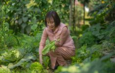 Jejak Hijau Maya Rosalia: Mengubah Lahan Sampah Jakarta Menjadi Kebun Pangan Komunitas